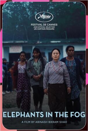 Film KF 2026: ELPHANTS IN THE FOG
